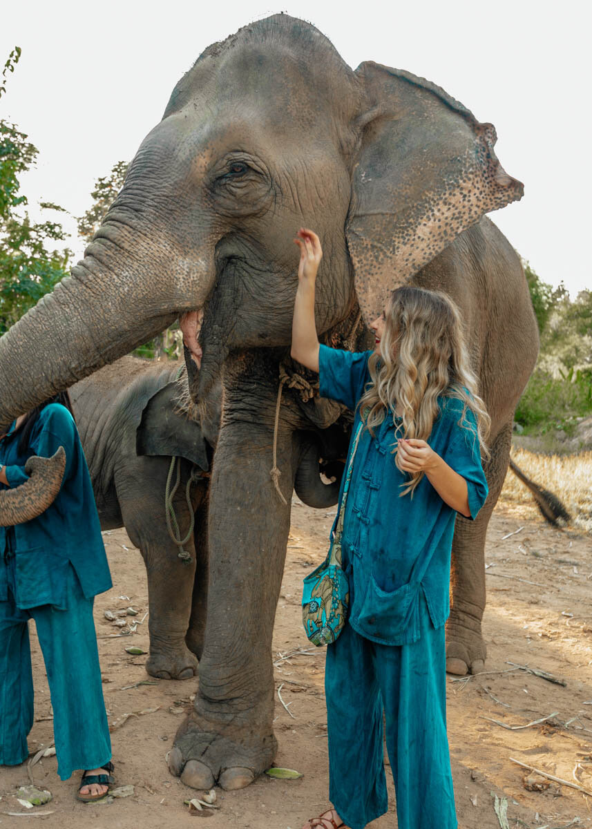 maerim elephant sanctuary ethical