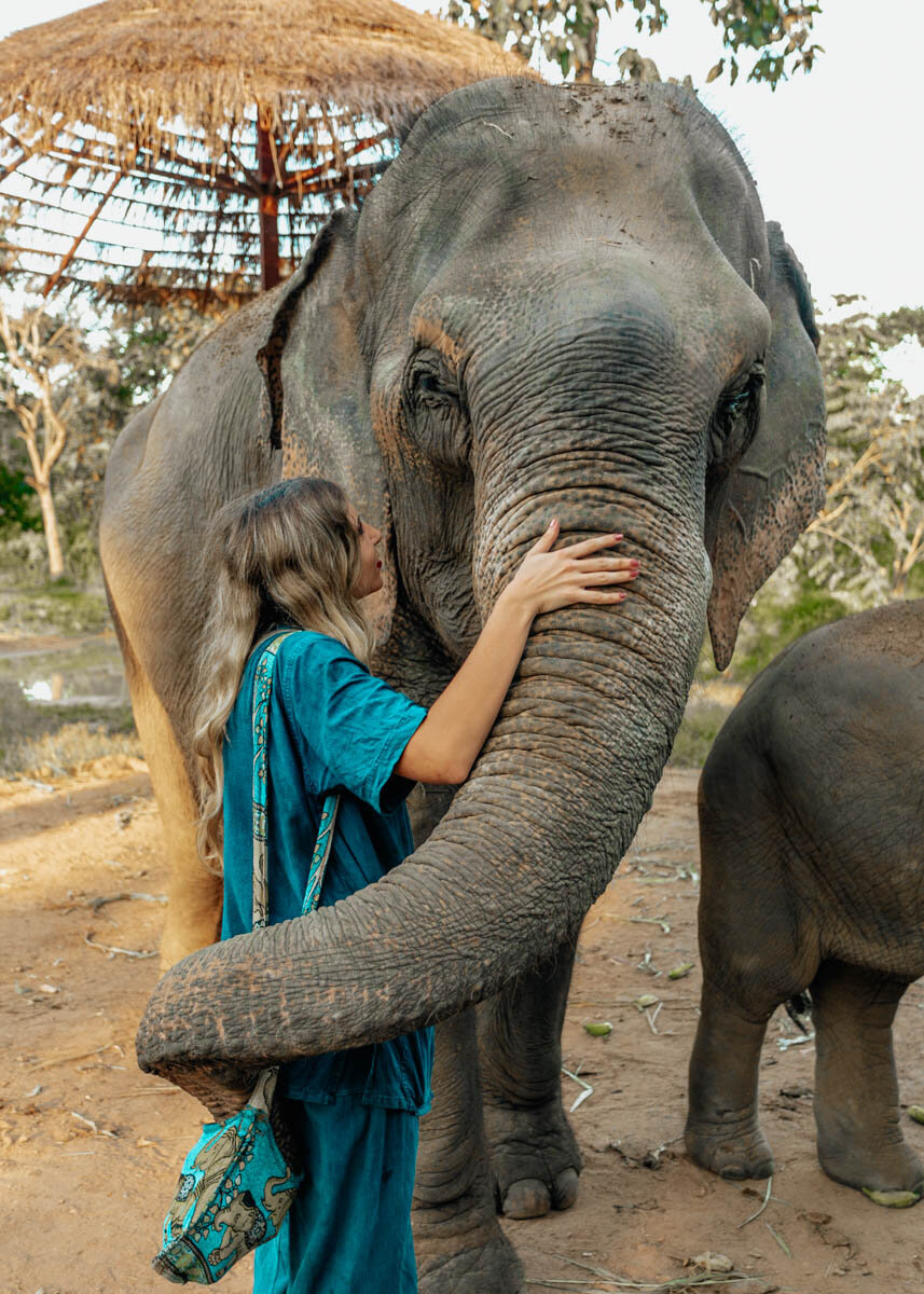 best elephant sanctuaries in chiang mai