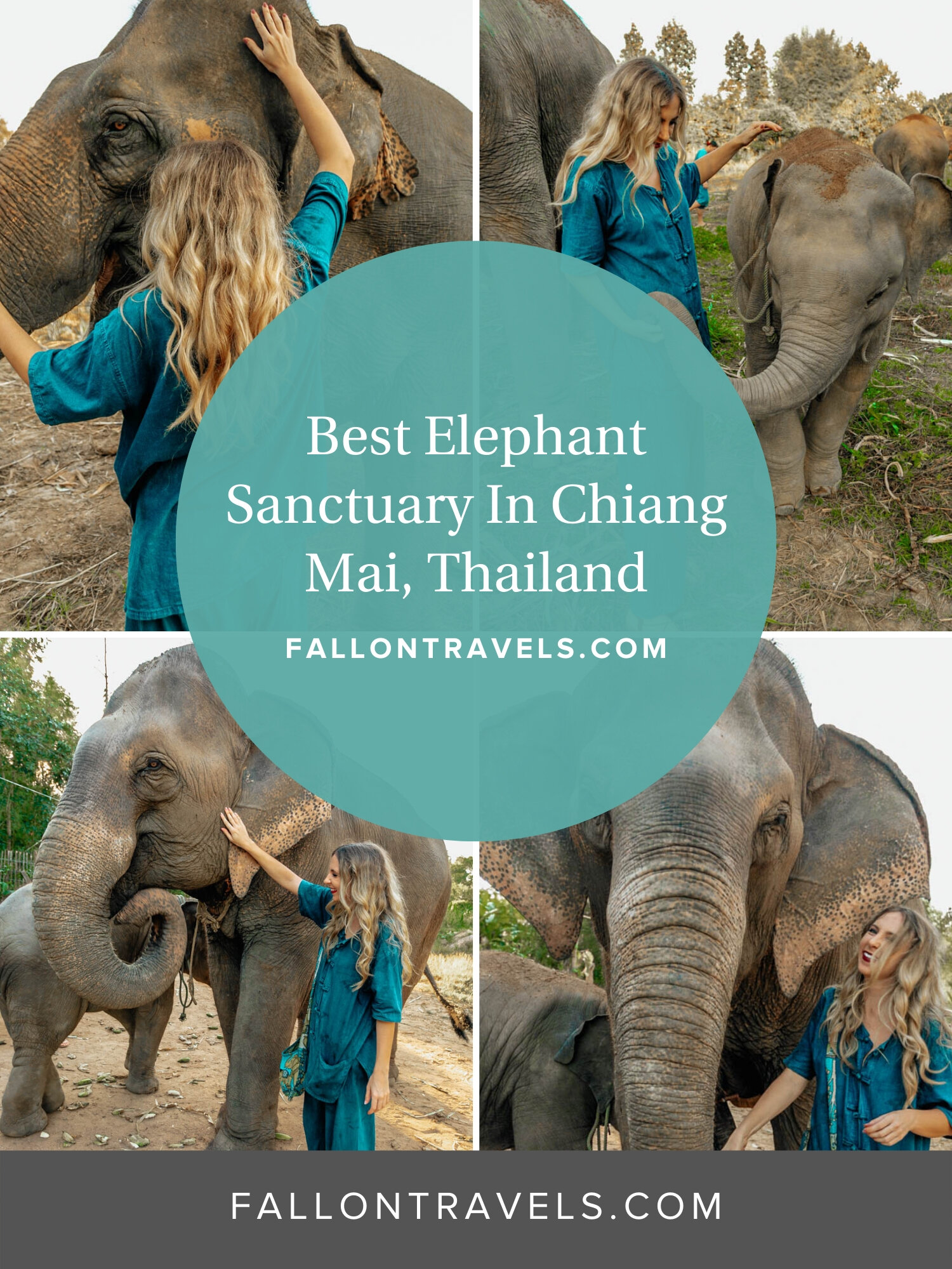 chiang mai elephant sanctuary