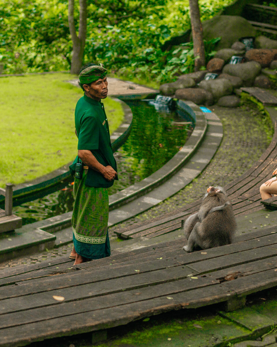 ubud monkey forest tips