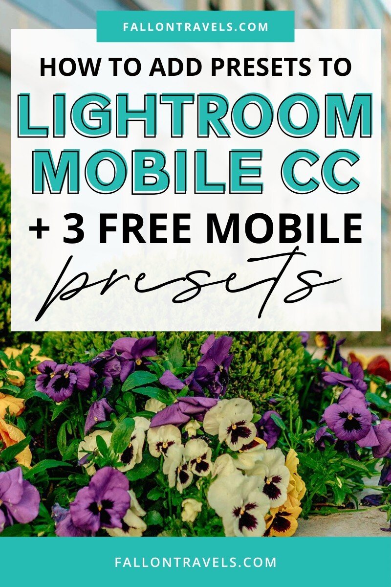 Lightroom Mobile App