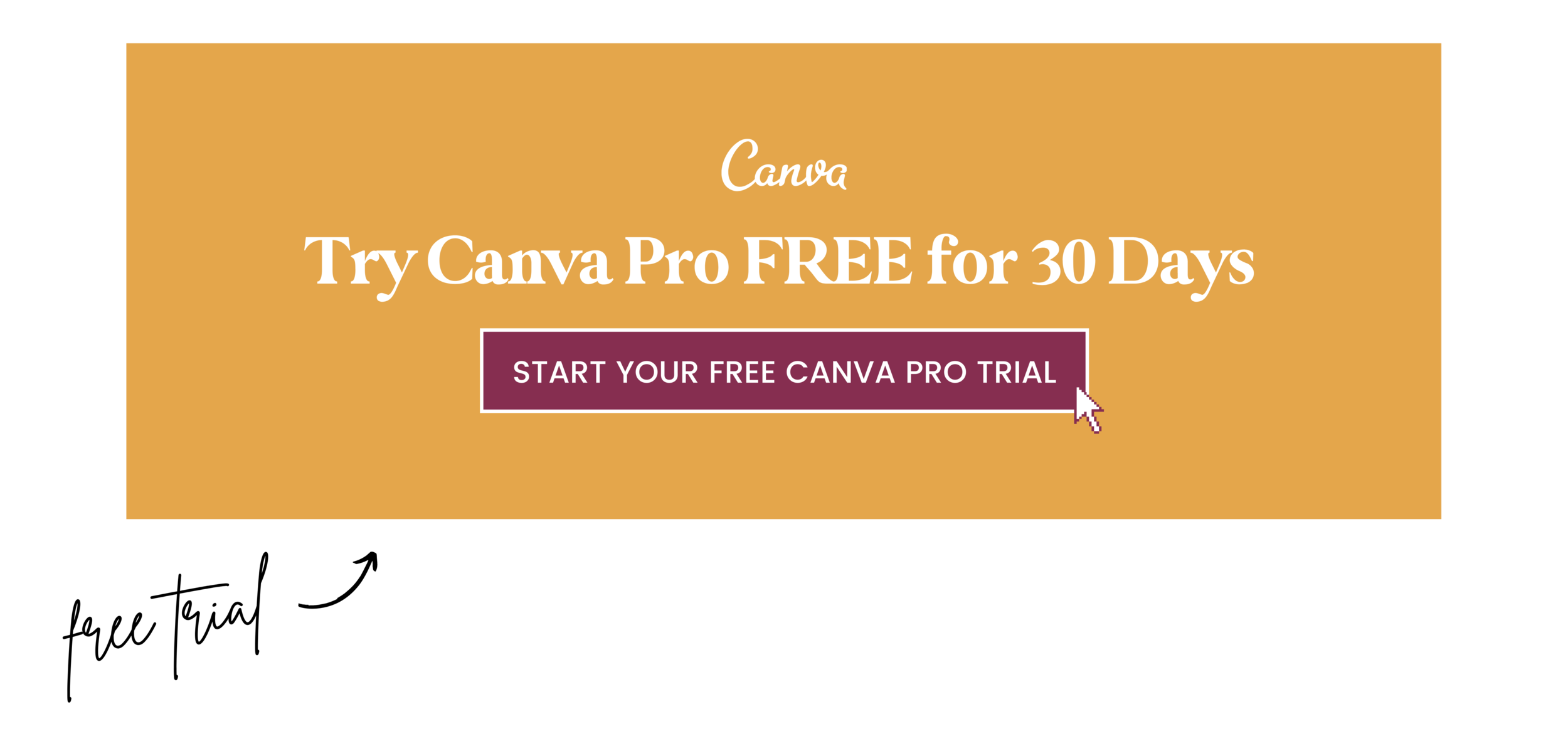 Canva Pro Review Free Trial | Fallon Travels