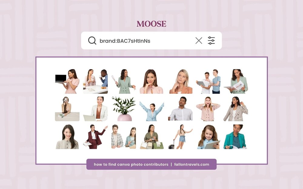 How to Search for the Best Canva Stock Photos using Brand Codes | FallonTravels.com