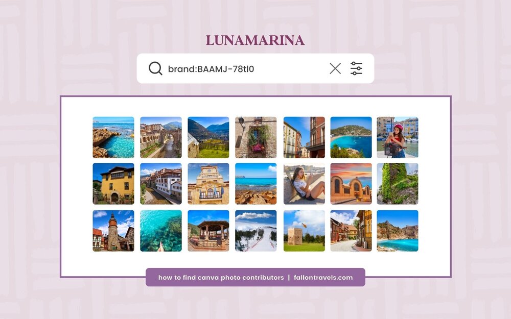 How to Search for the Best Canva Stock Photos using Brand Codes | FallonTravels.com