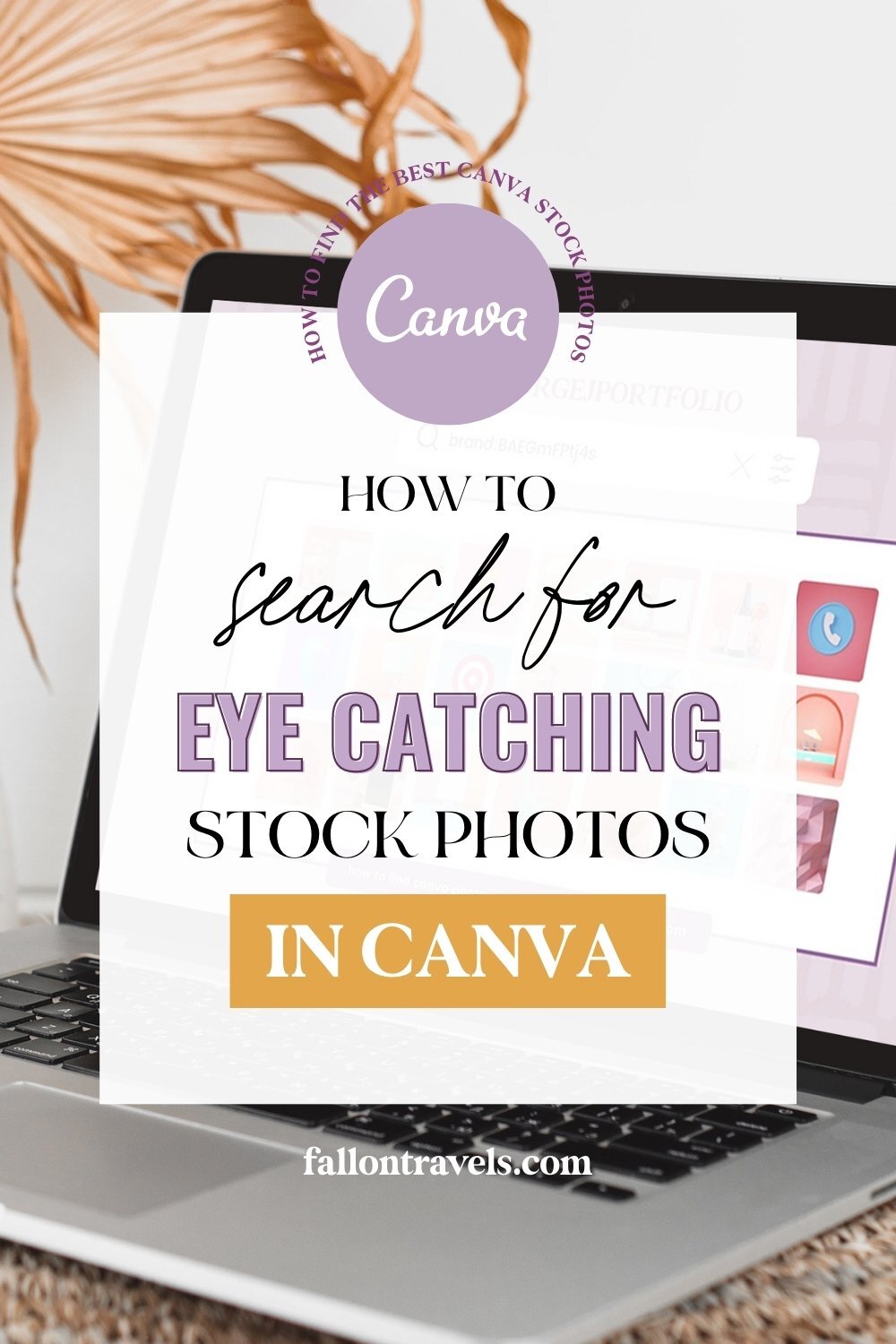 How to Search for the Best Canva Stock Photos using Brand Codes | FallonTravels.com