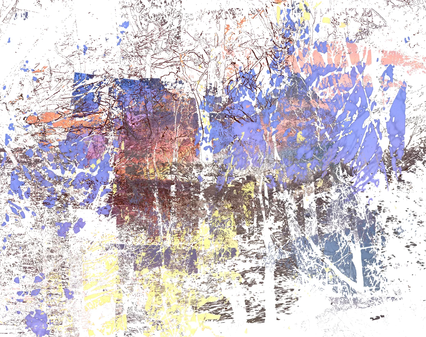 end of november sunset.jpg