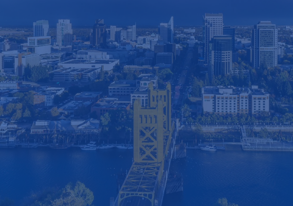 Copy of API Dems Cover Photo.png