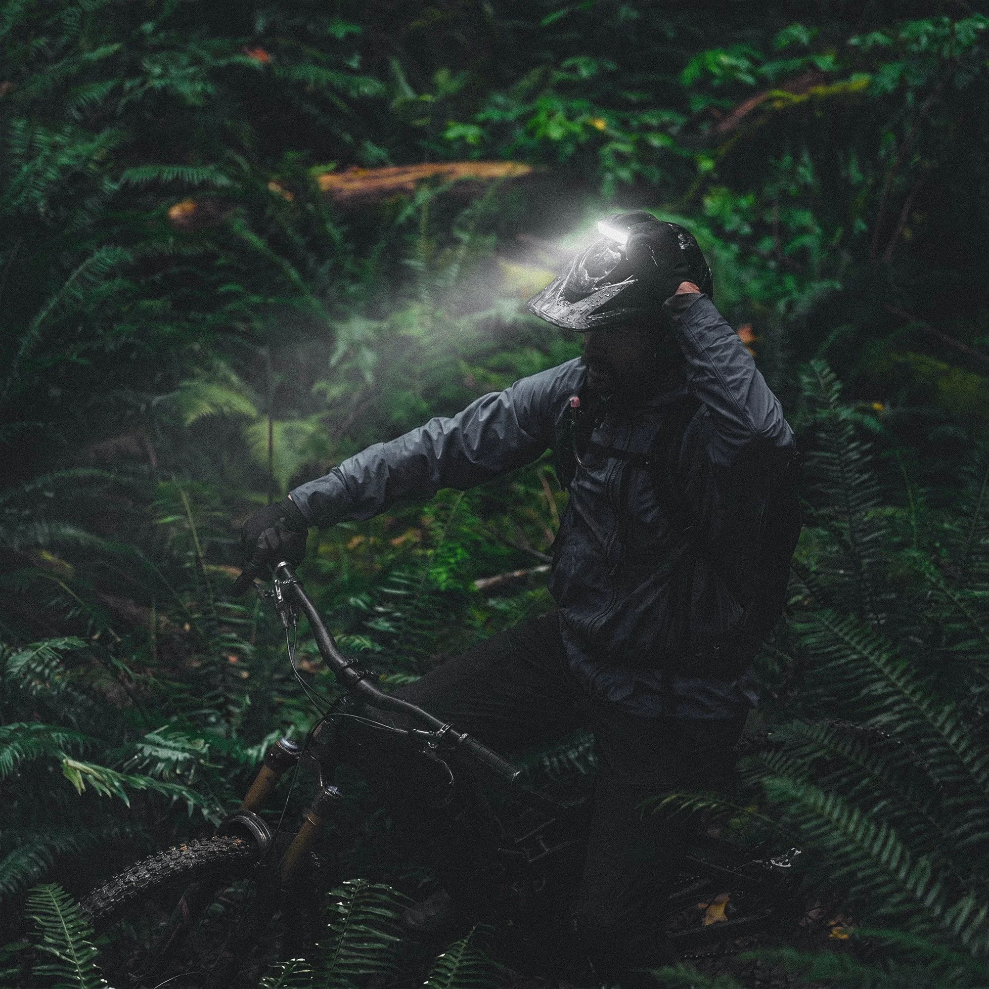18_OL_Portal_Photo_Bike_Jungle.jpg