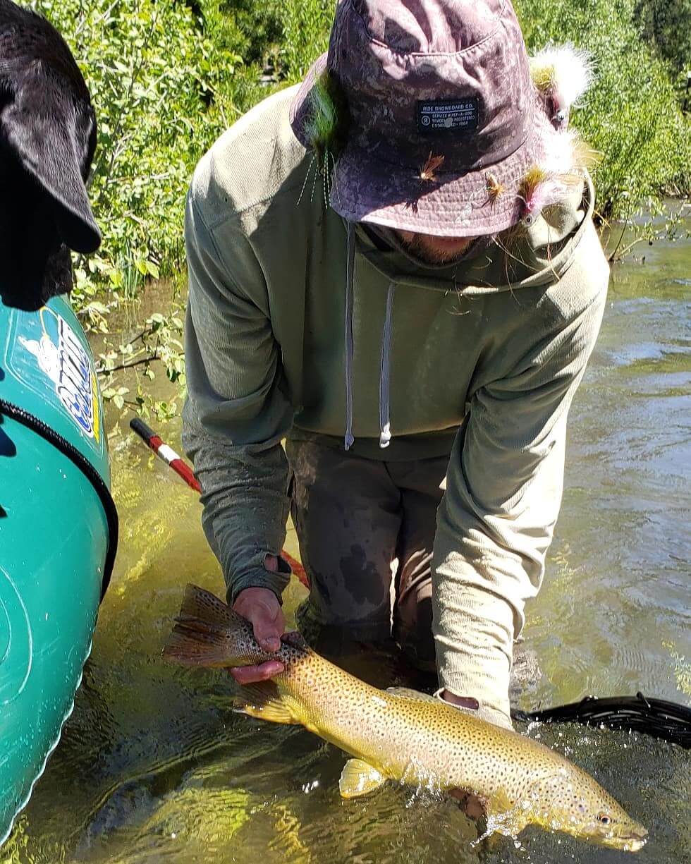 Truckee River Brown Trout Fly Fishing