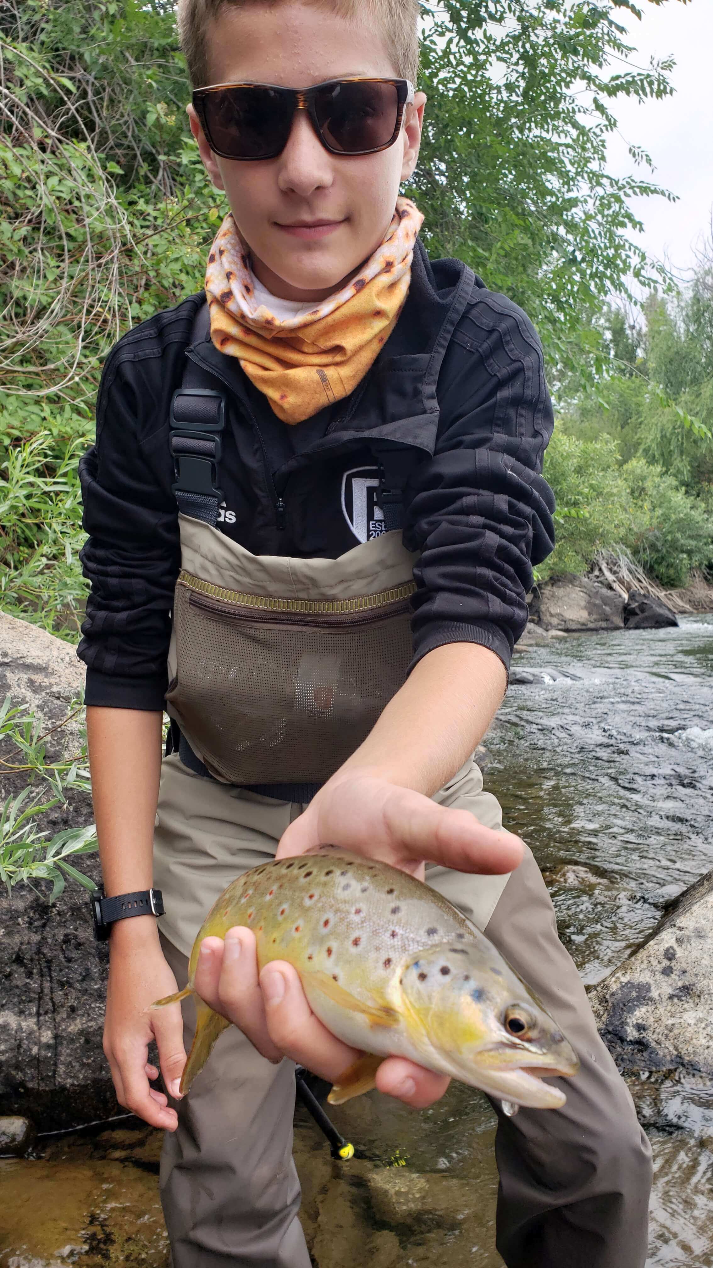 Truckee River Brown Trout