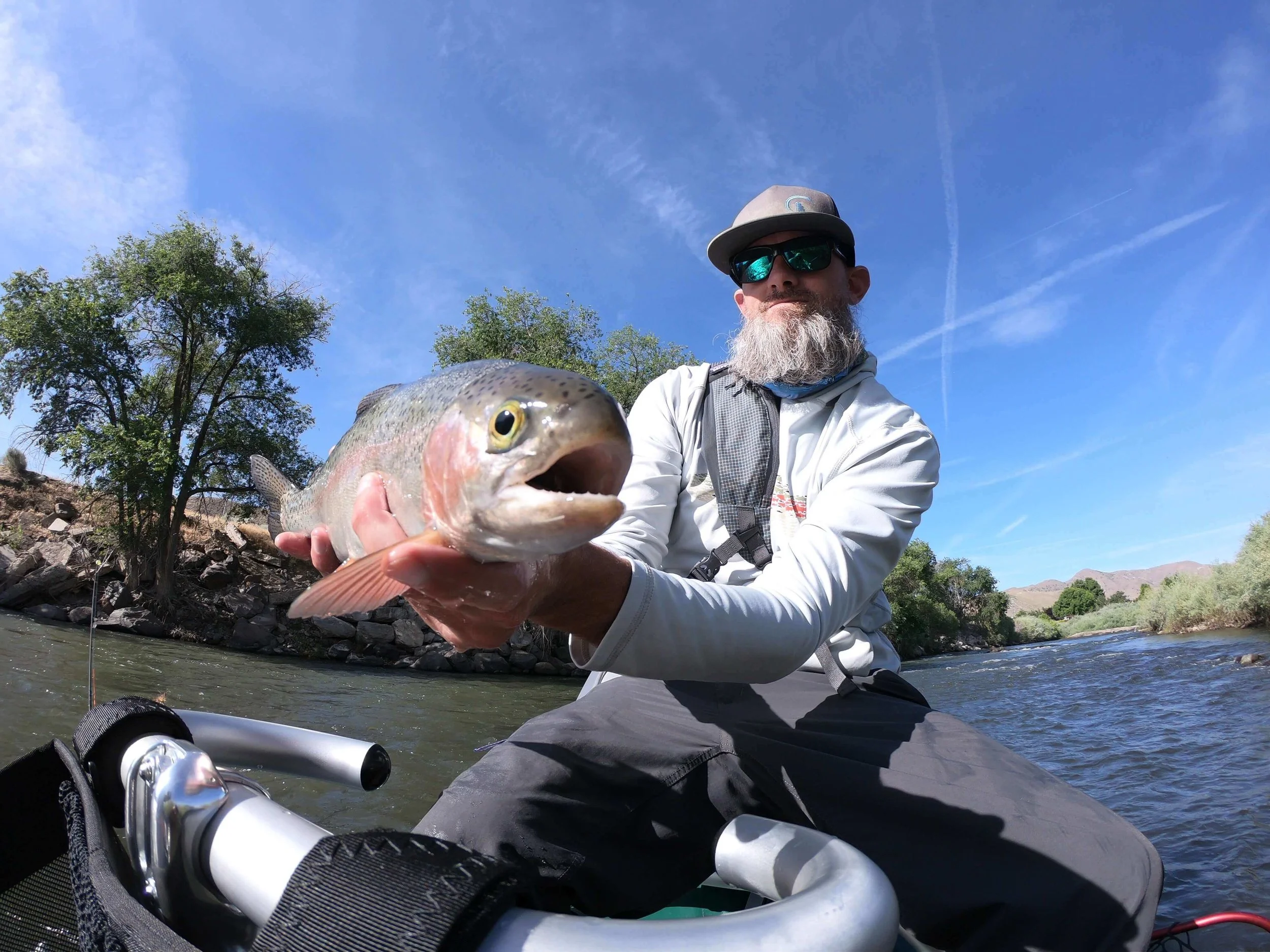 Truckee River Rainbow Trout