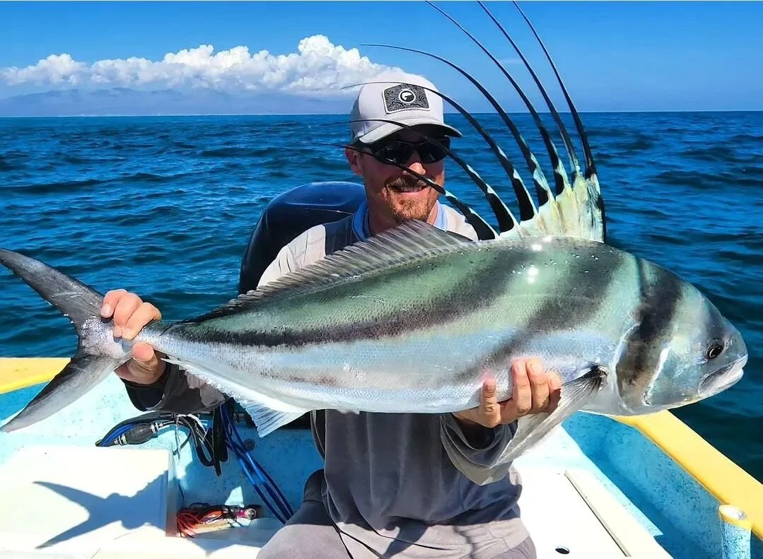 Roosterfish... Dorado... Tacos... and a Casa on the Beach in La Ventana.... don't miss out! Private and group trips, all inclusive! Fishing with @juanluceroflyfishing @davidluceroflyfishing @mauricioluceroflyfishing 

#RoosterFish #RoosterOnTheFly #R