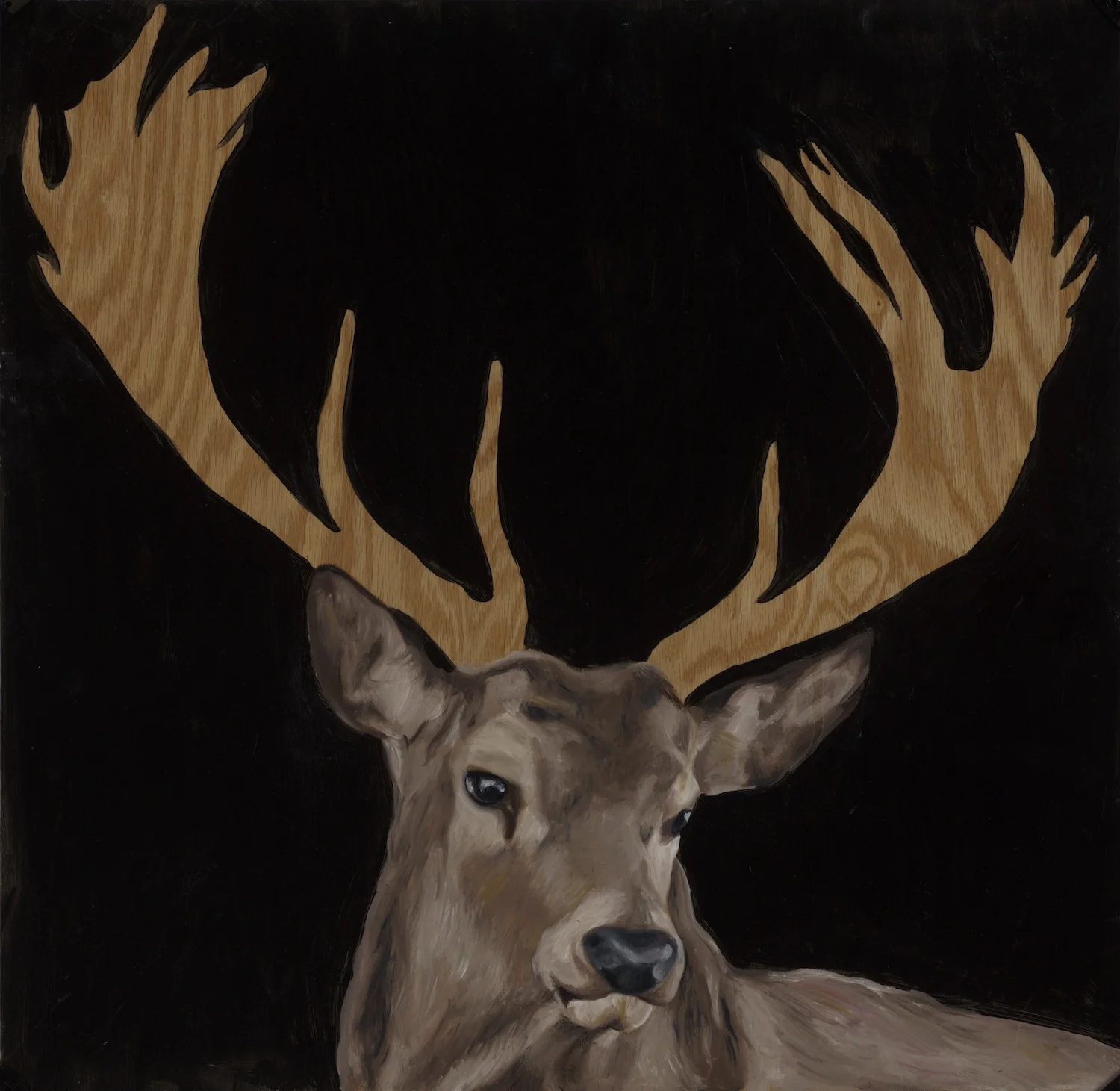 deer-portfolio.jpg