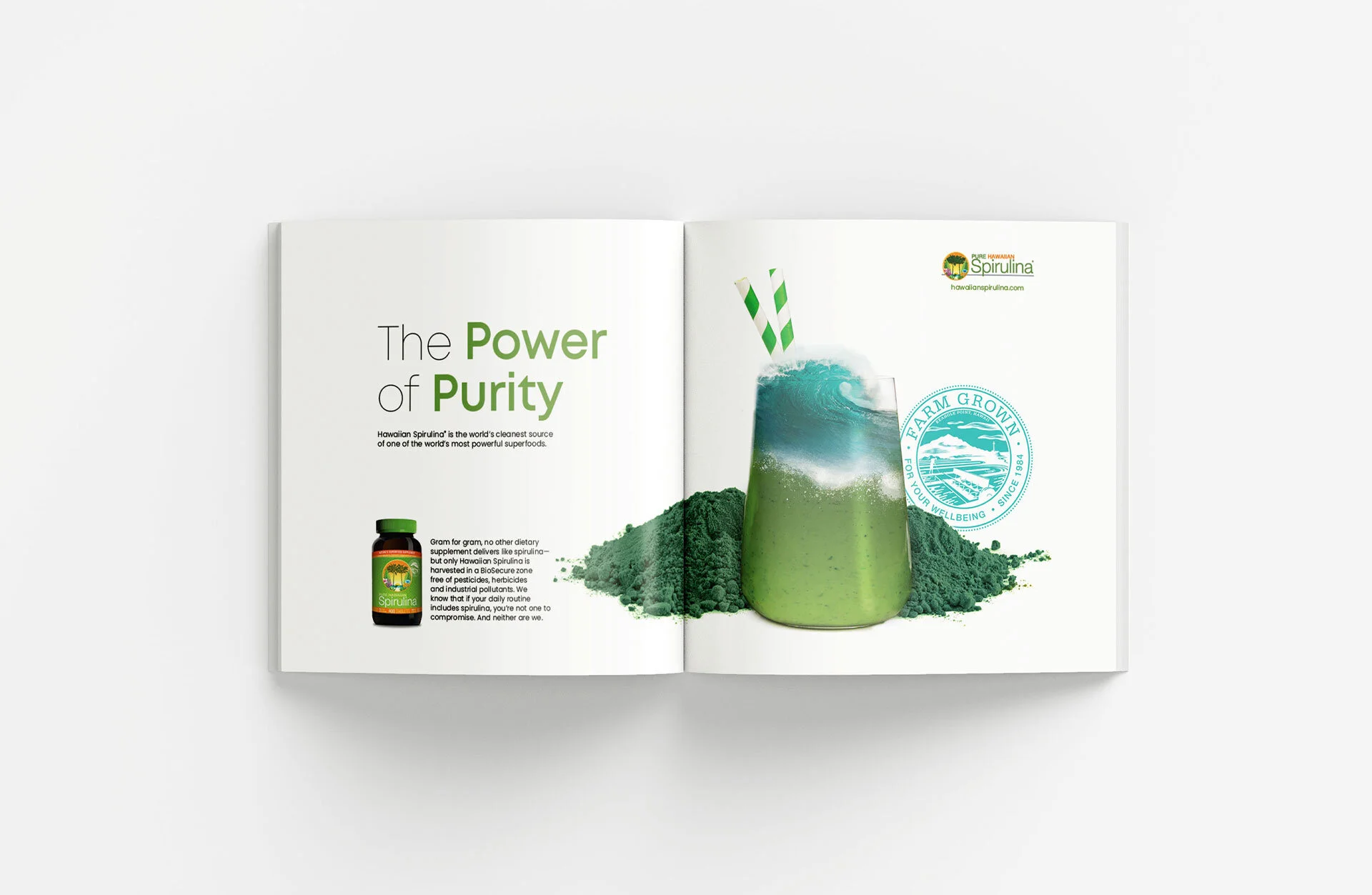 Brochure_purity.jpg