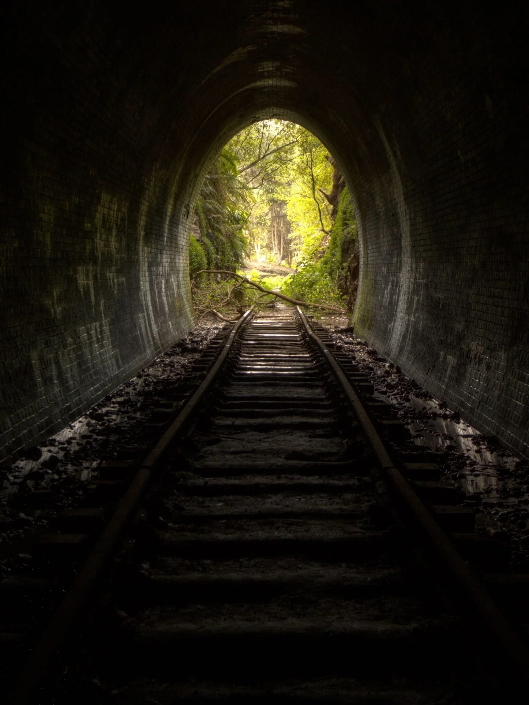 April 2021 | Necessary Endings - New Moon Revati Nakshatra