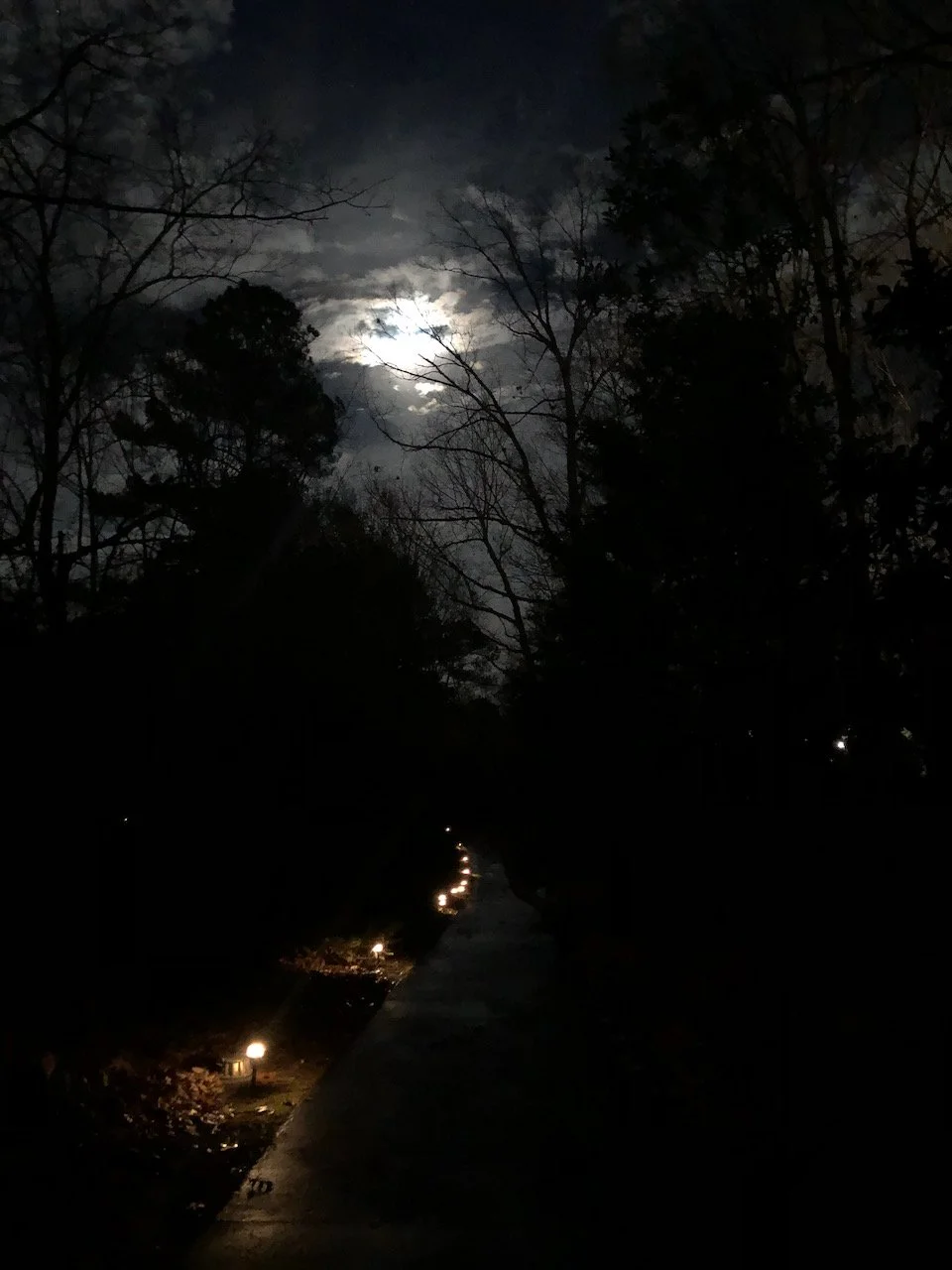 Dec 2021 |  Solstice &amp; The Year Ahead, 2022 Part I: Your  Path is Being Illuminated