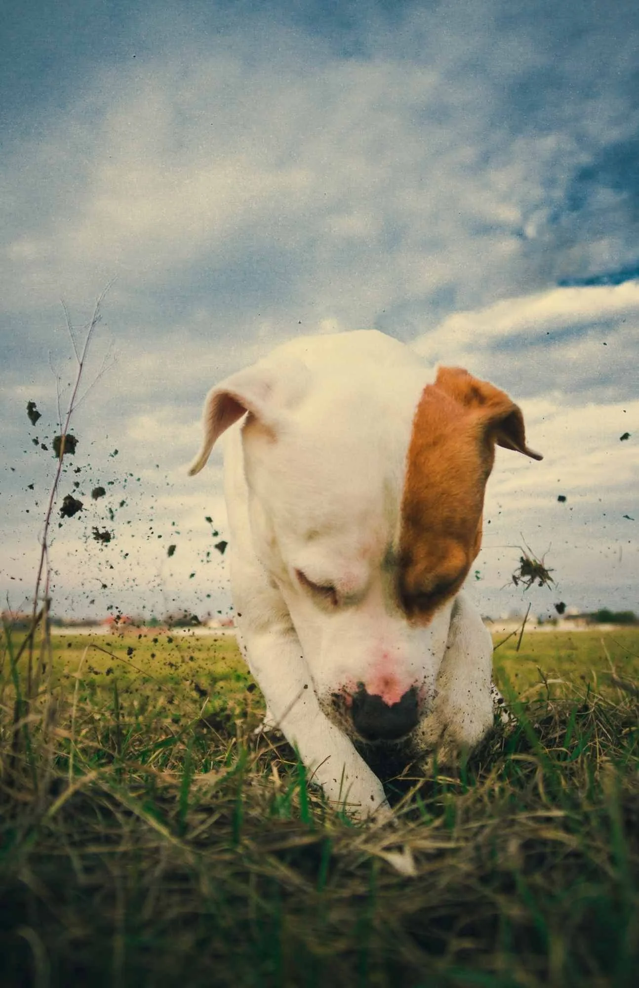 June 2022 | Full Moon: Relax + Dig In!