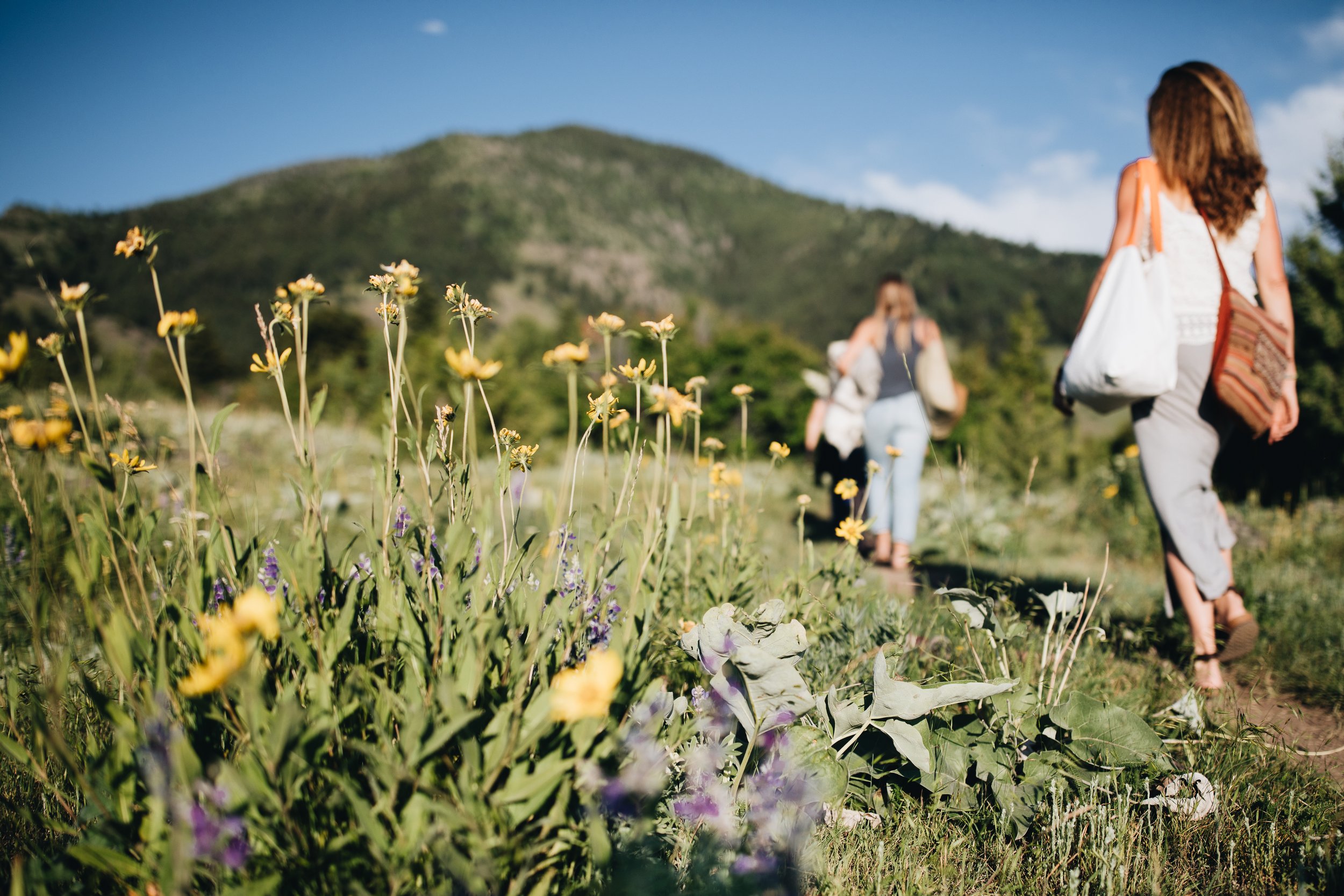 When Understanding Isn't Enough: Working With the Stories We Carry in the Body – By: Aspen Marino