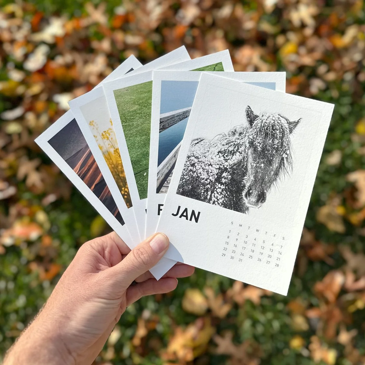 2023 Print Refill Subscription