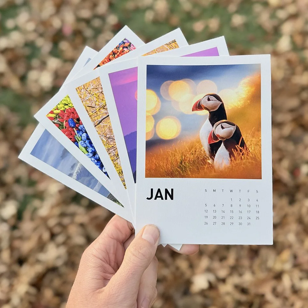 Annual Print Refill Subscription