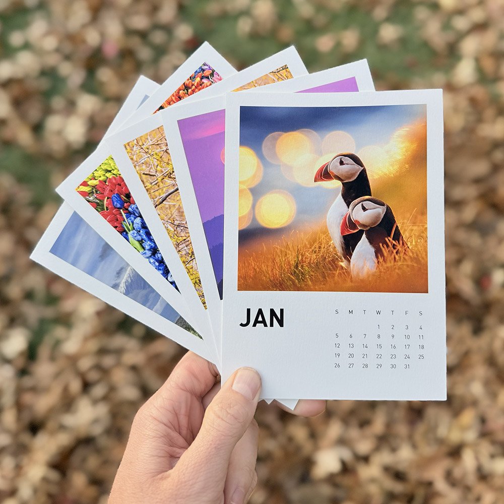 2025 Prints-Only (Refill)