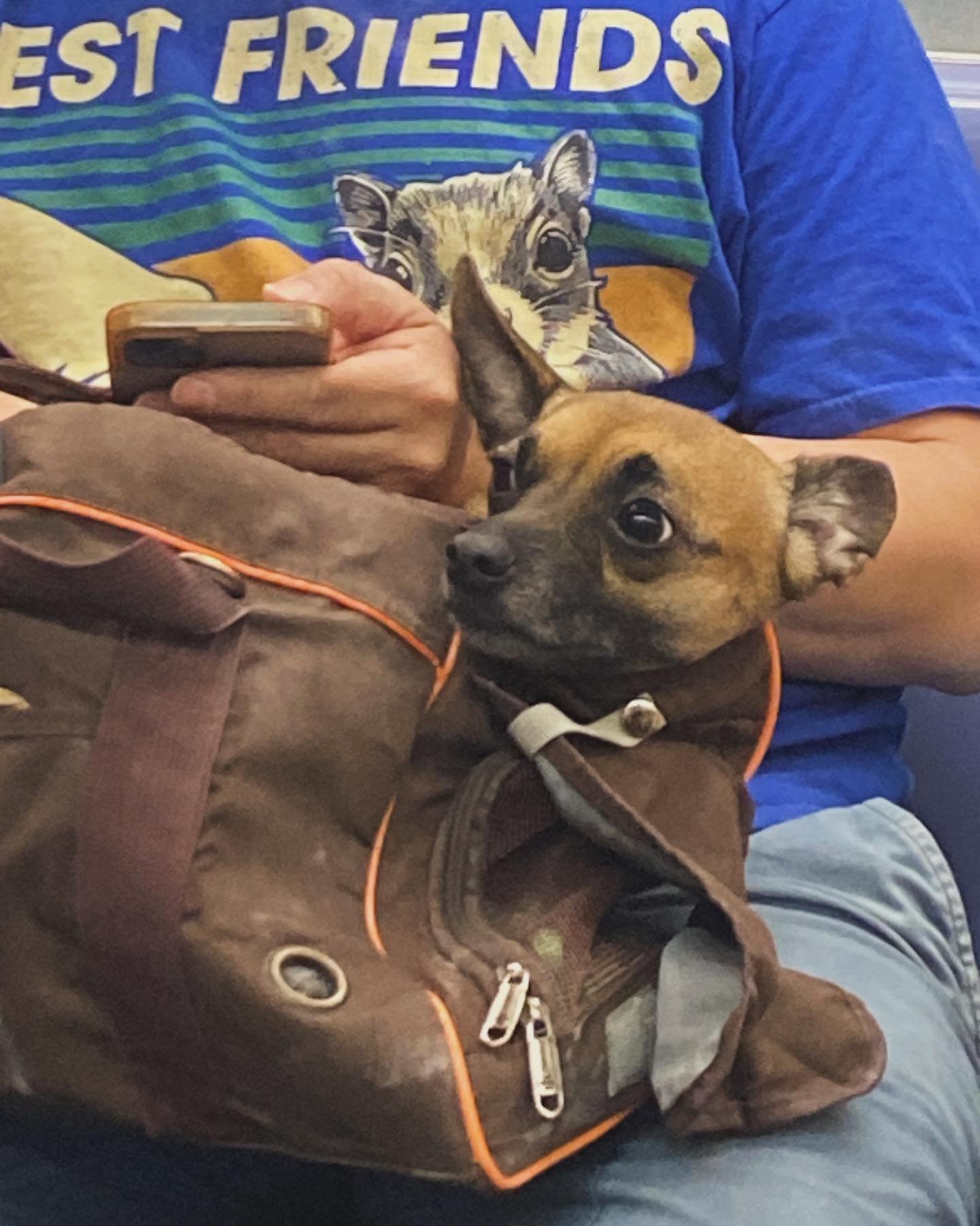 Photos for the end of summer 2024 

1. Est friends

2. Decoupage (yay new hobbies!)

3. A Manhattan babe 

4. A Bed-Stuy babe (with a gorgeous washer/dryer)

5. Itsa me in Italy!

6. Hot Pompeii Hat Man

7. Me in 5 Years

8. Big Cave, Big Love

9. Pi