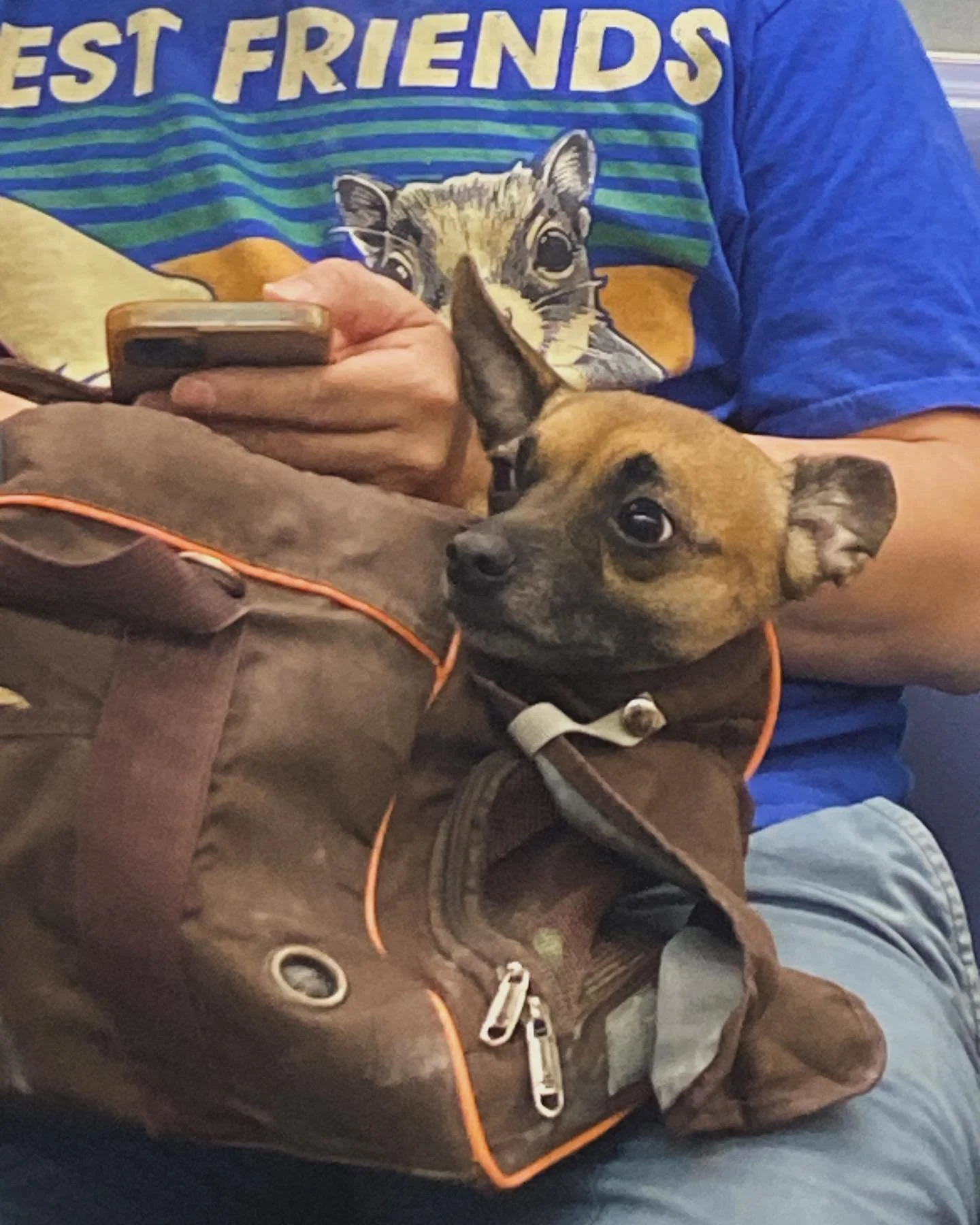 Photos for the end of summer 2024 

1. Est friends

2. Decoupage (yay new hobbies!)

3. A Manhattan babe 

4. A Bed-Stuy babe (with a gorgeous washer/dryer)

5. Itsa me in Italy!

6. Hot Pompeii Hat Man

7. Me in 5 Years

8. Big Cave, Big Love

9. Pi