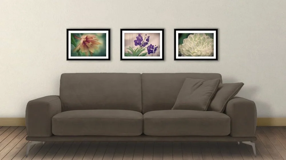 3-film-flowers-8-x-12-e1512584118304.jpg