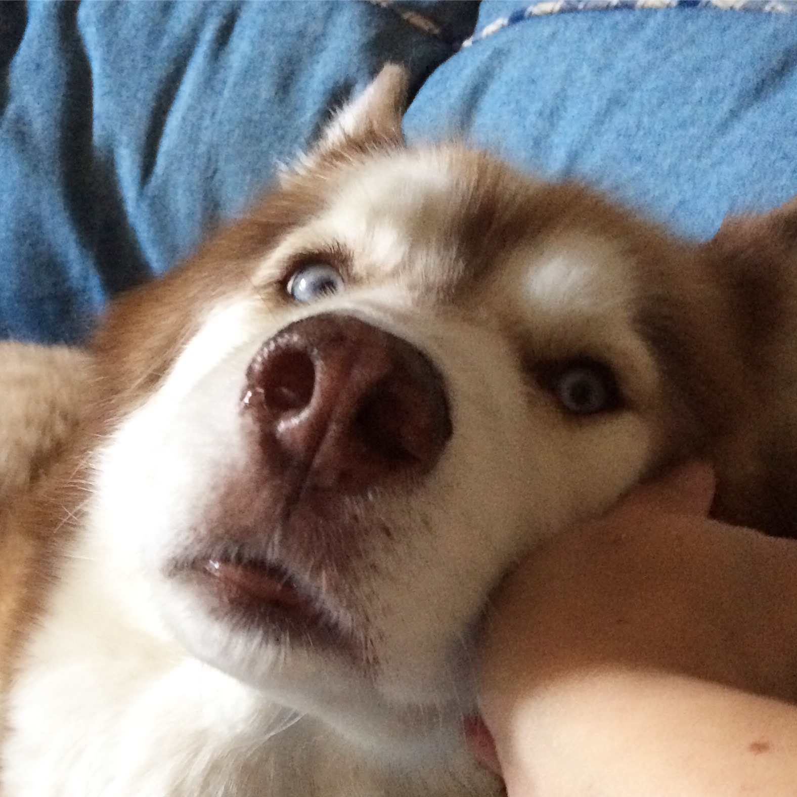 I'm not spoiled. I'm loved.