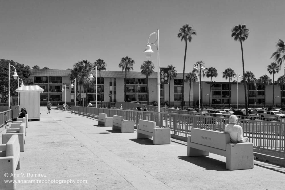 IMG_1642-Edit
