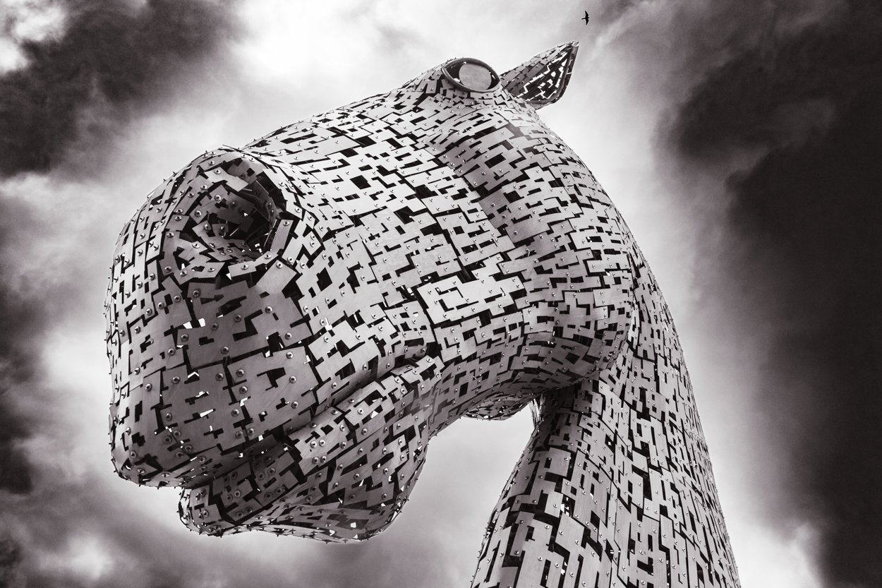 One of the Kelpies, Falkirk, Scotland