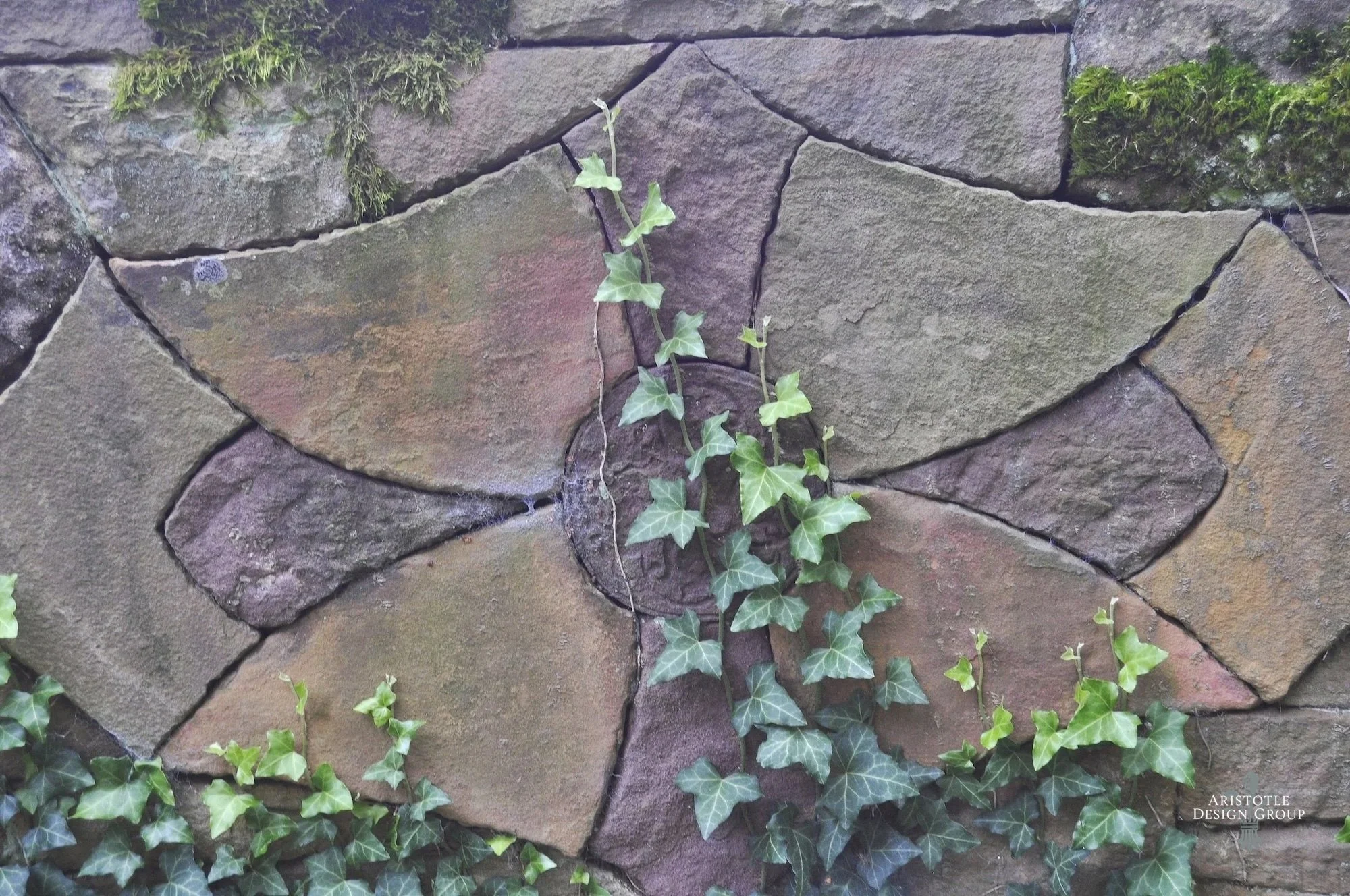 A close-up of a stone wall with a small ivy plant growing in a crevice in the center.