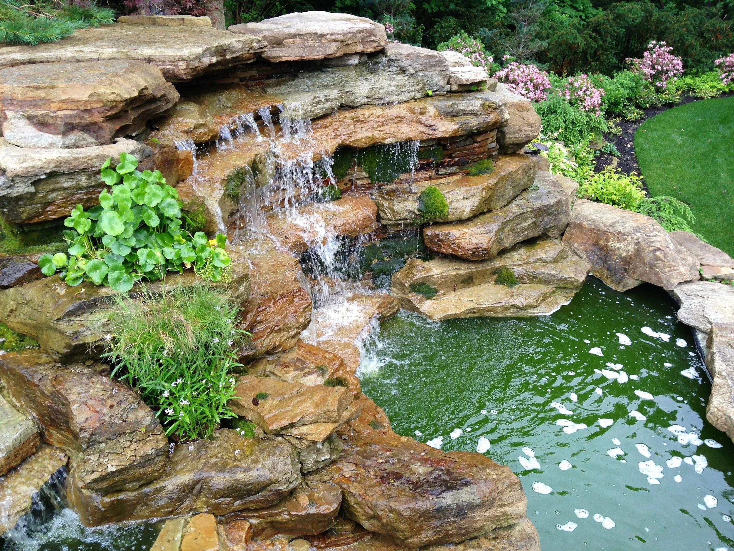 A landscaped backyard with a multi-tiered stone waterfall flowing into a pond surrounded by greenery and flowering plants.