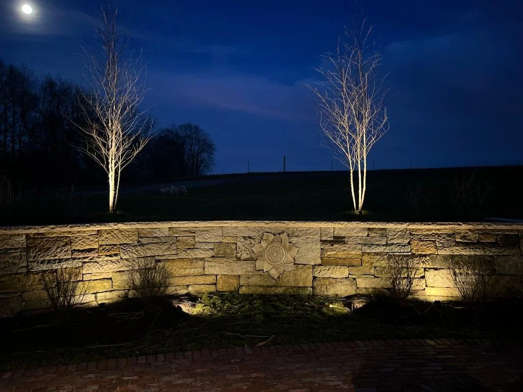 Nighttime scene featuring a stone wall with an engraved flower at the center, illuminated from below, with two tall, leafless trees in the background under a dark blue sky.