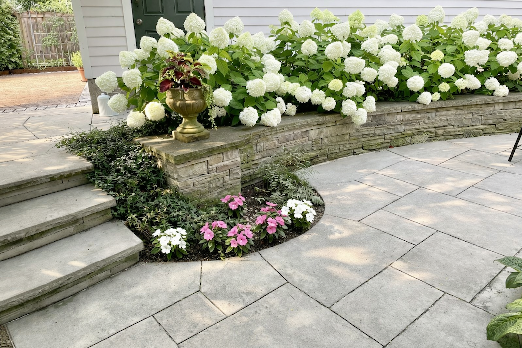 A stone patio with stairs, a garden bed with white hydrangeas, pink and white flowers, and a decorative urn on a stone ledge.