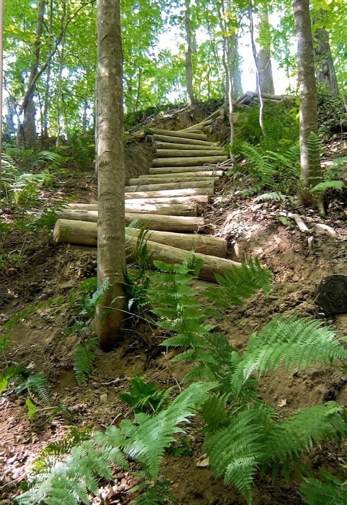 Trailwork-2.JPG