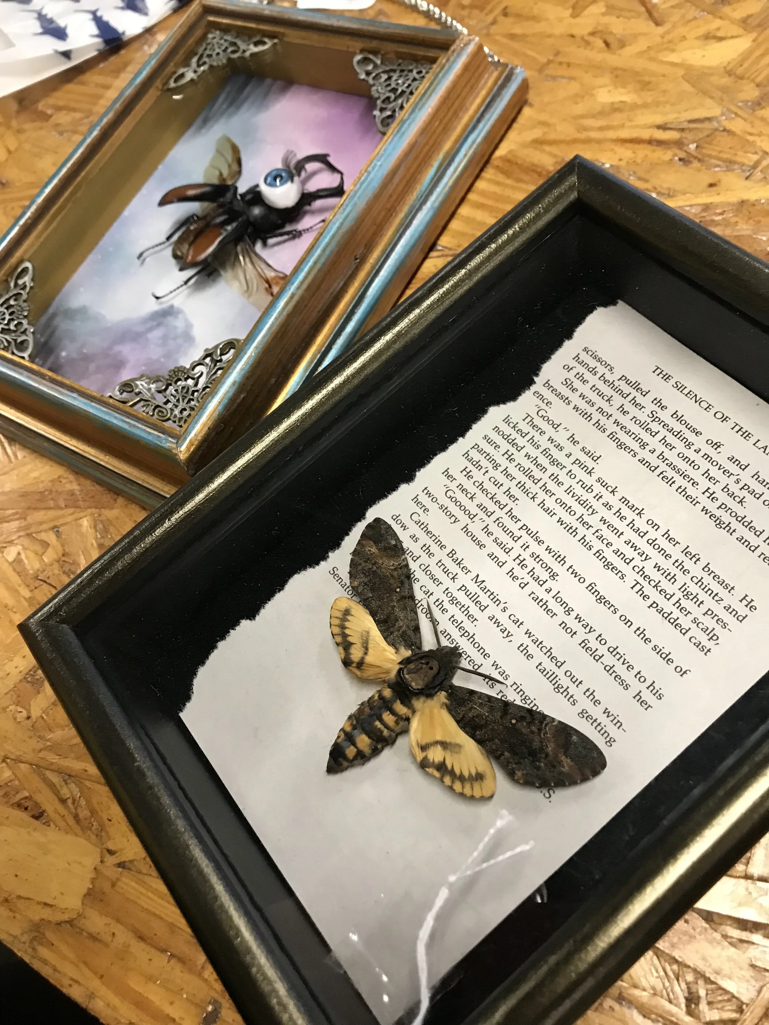 Insect wall art by Amelies Anomalies
