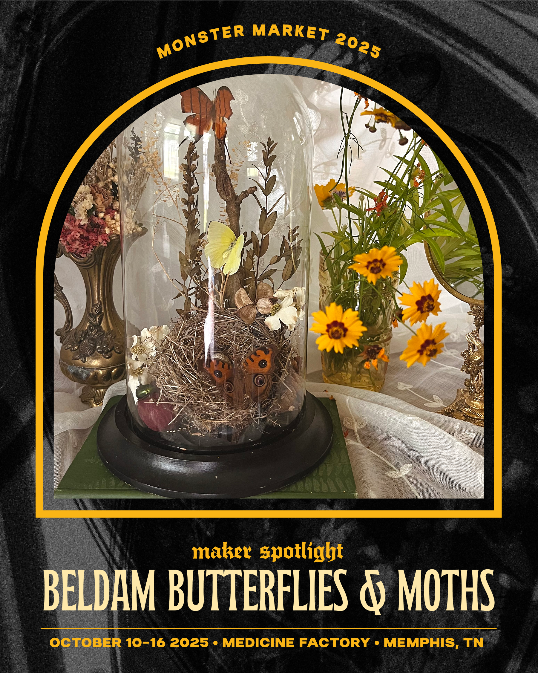 Beldam Butterflies & Moths.png