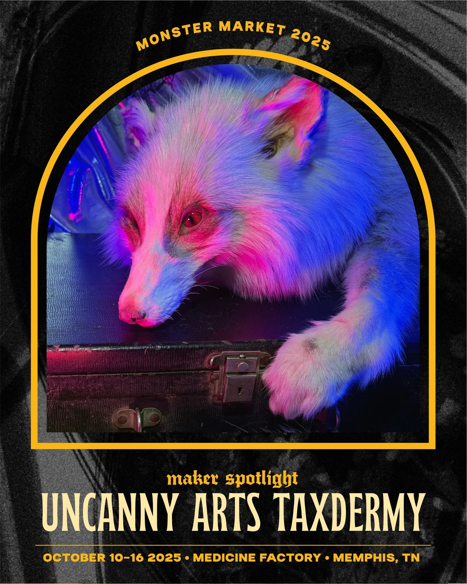 ✨Maker Spotlight: Uncanny Arts Taxidermy✨  Unconventional Taxidermist Cass Bailey returns to Monster Market! Keep an eye out for their taxidermy mounts, jewlery, and bones exclusively at Monster Market this October!

✨ONLY AT MONSTER MARKET!
A freaky