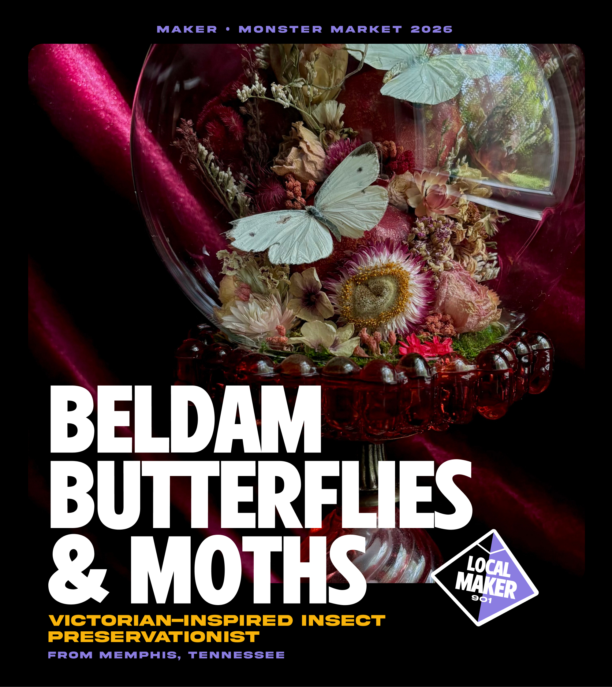 Beldam Butterflies & Moths.png