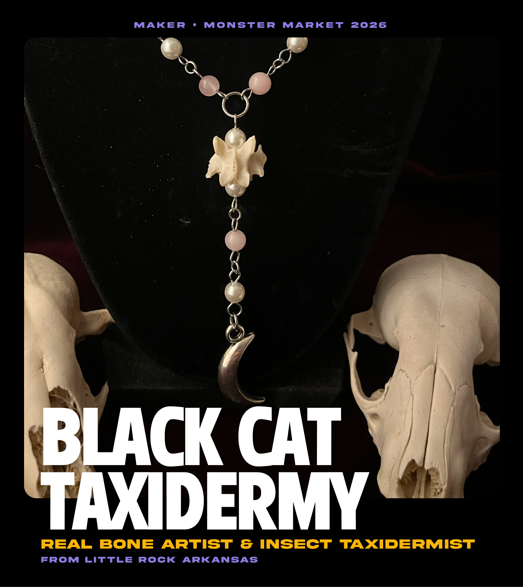 Black Cat Taxidermy.png