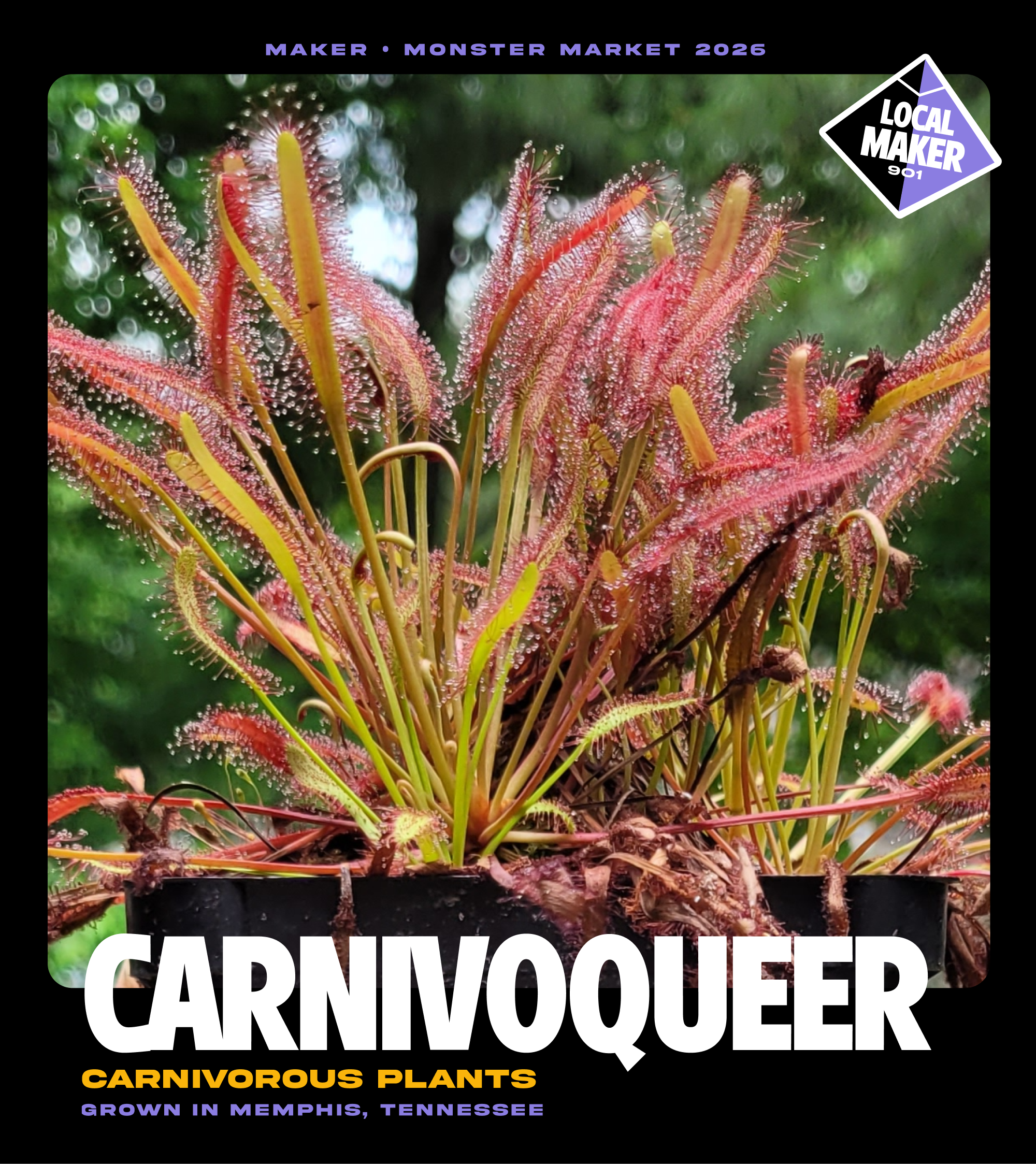 CarnivoQueer.png
