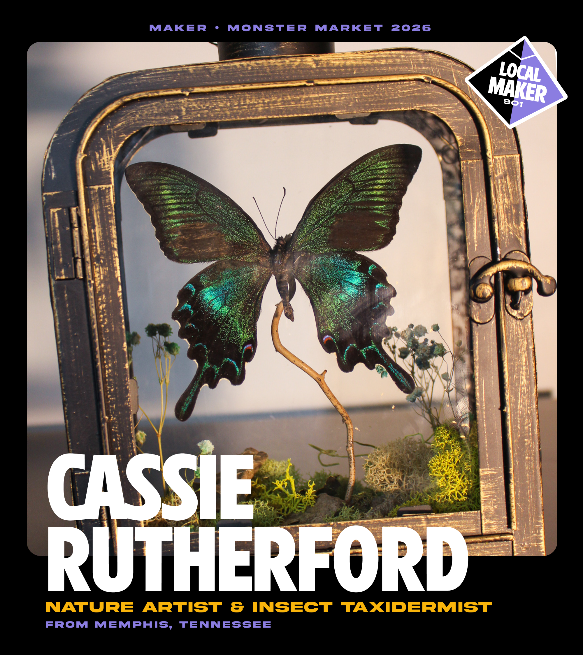 Cassie D Rutherford.png