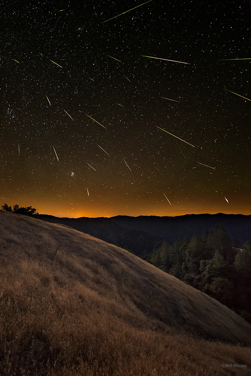 Big Sur Perseids