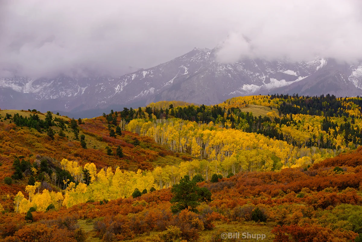 Colorado Colors