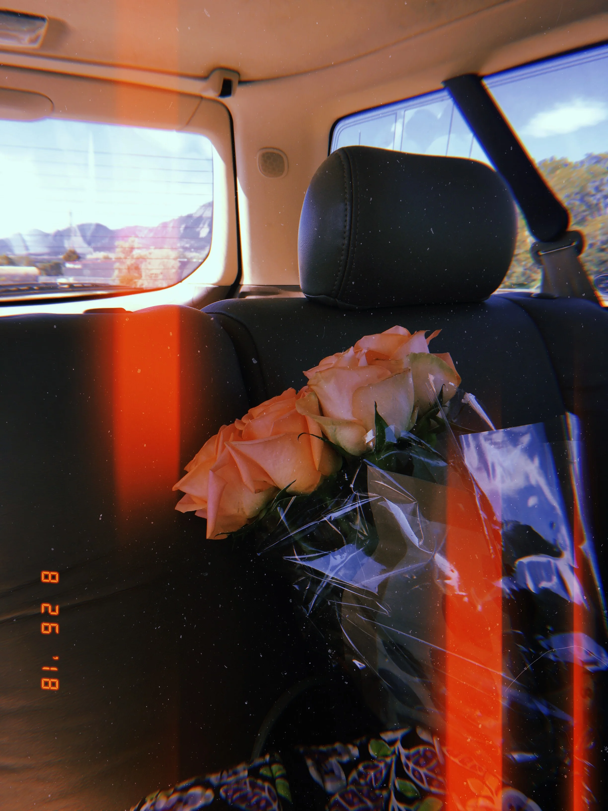 2018-08-26 10:15:22.037.JPG