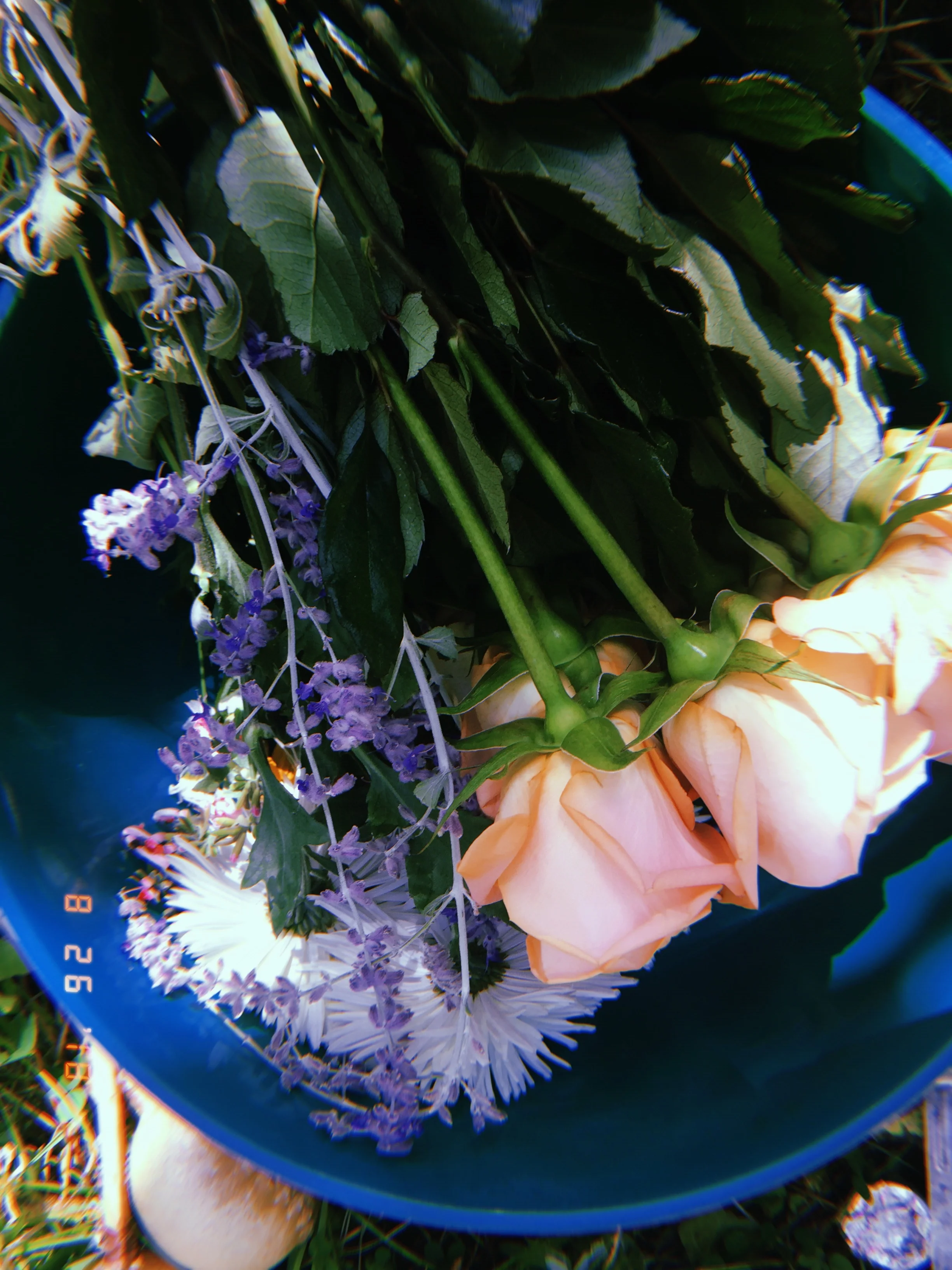2018-08-26 11:18:17.600.jpg