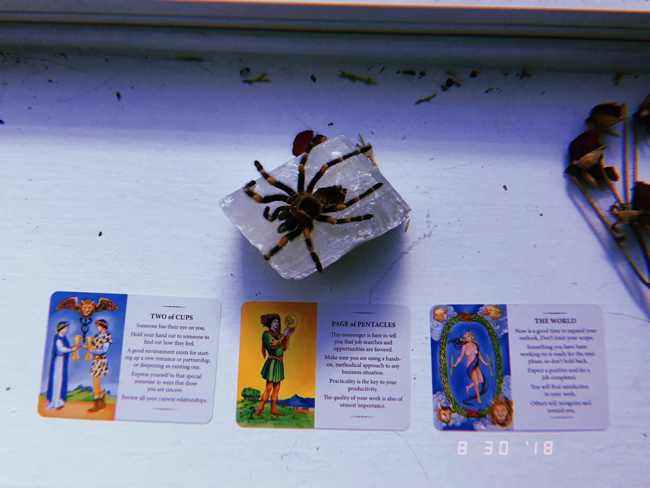 2018-08-30 09:08:33.928.JPG