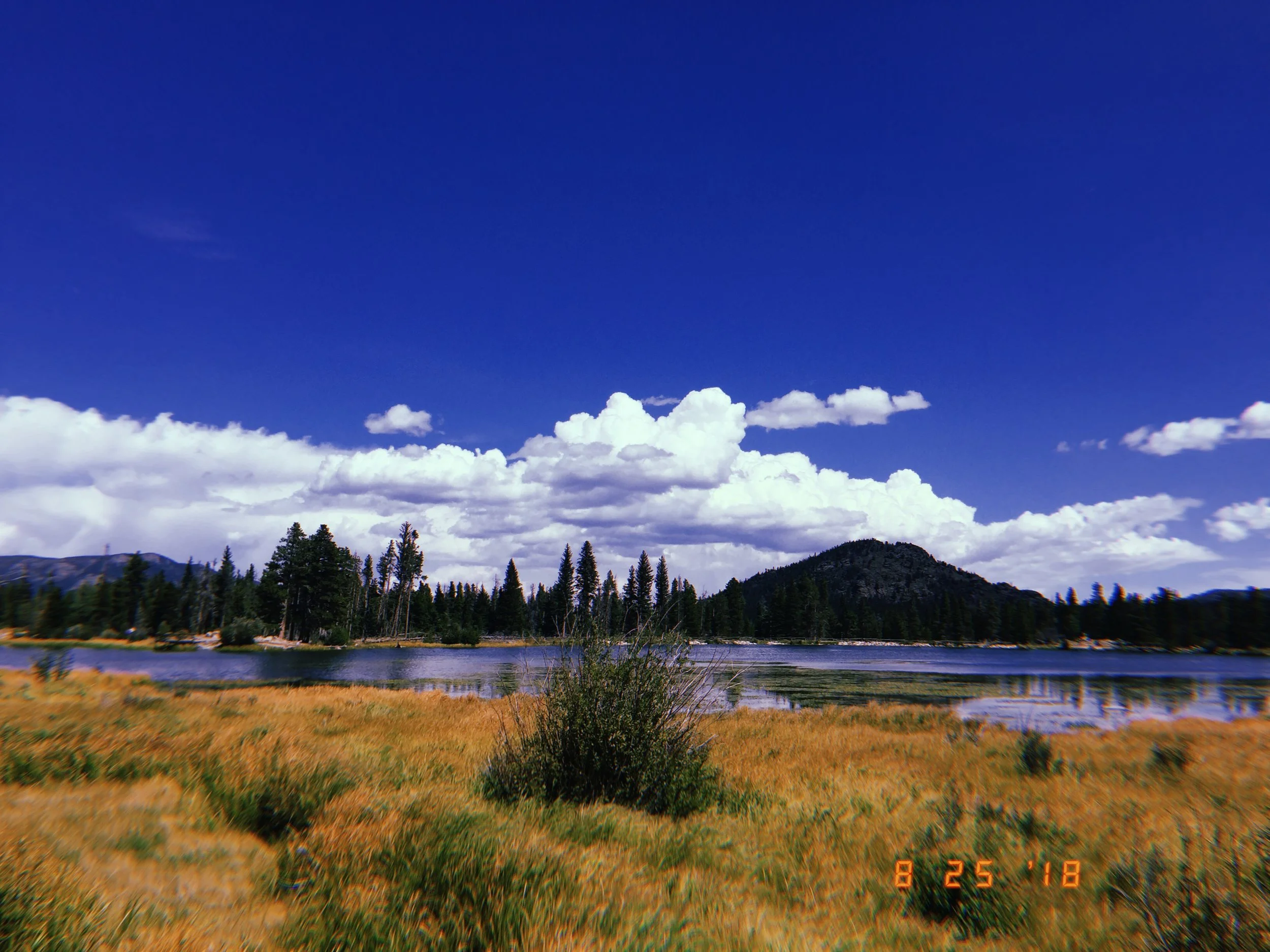 2018-08-25 12:37:37.288.JPG