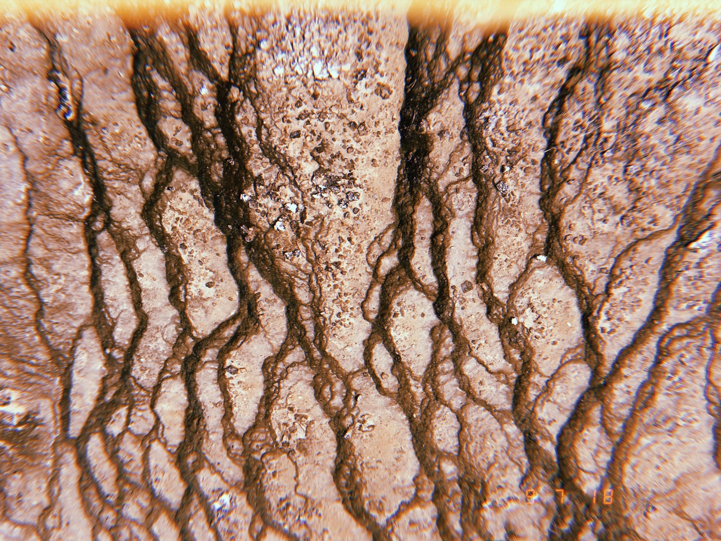 2018-09-08 13:37:10.778.JPG